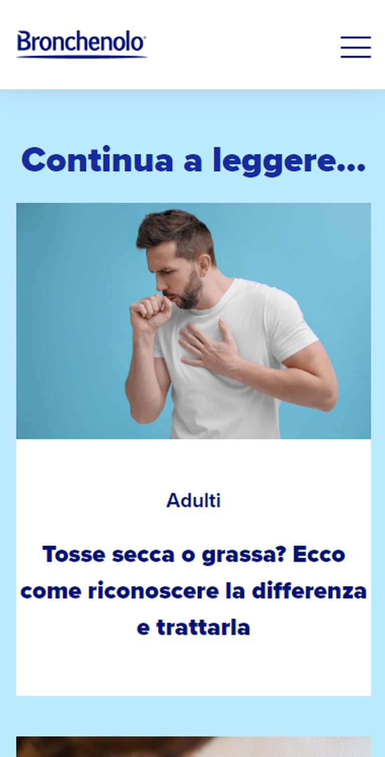 06 masonry bronchenolo