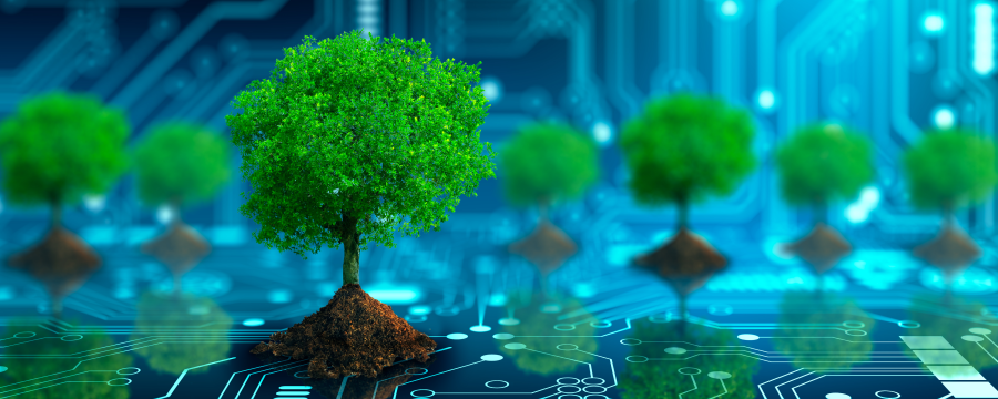 Metaverse and sustainability